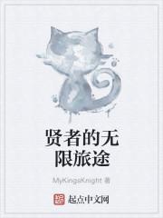 贤者的无限旅途笔趣趣