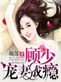 顾少宠妻成瘾全本免费阅读