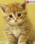 仙家护身图片