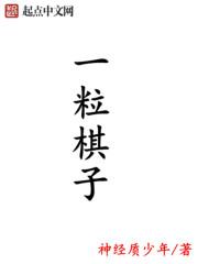 一粒棋子重多少克