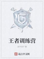 王者训练营不能该数值了吗
