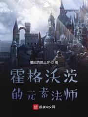 霍格沃茨的元素法师免费观看