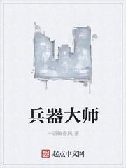 武器大师皮肤价格表