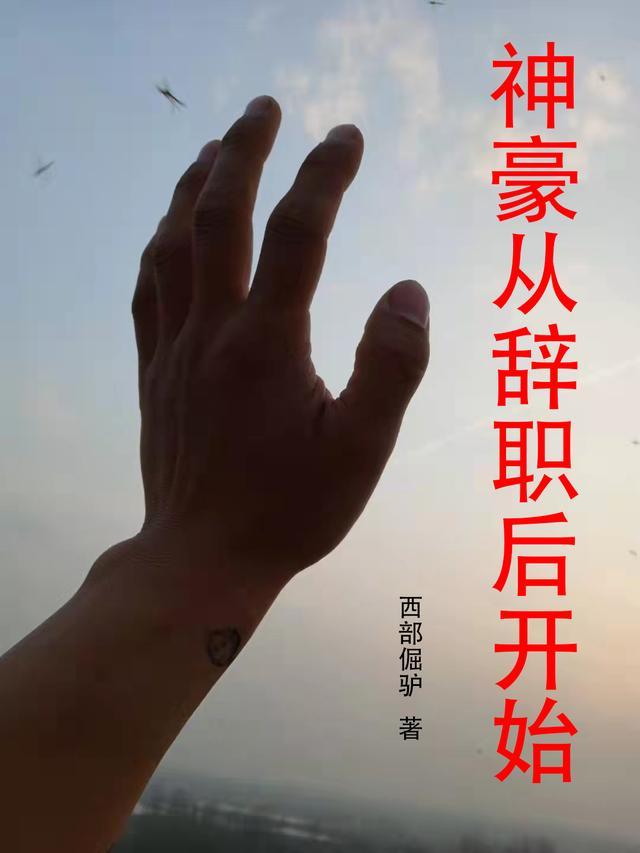 神豪从辞职开始享受人生简介