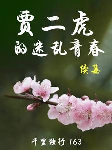 网络贾二虎346章