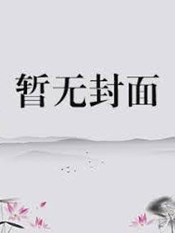 金牌女律师电视剧