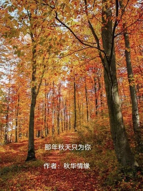 那年的秋天歌曲