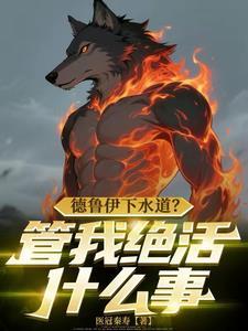 德鲁伊主线任务