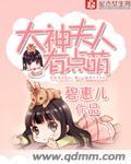 大神你夫人又挂了免费