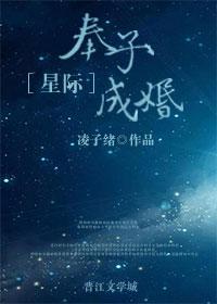 奉子成婚系列推荐