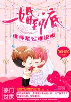 一婚到底律师老公难说服_