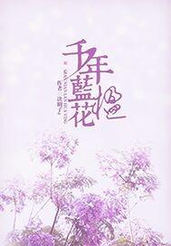 蓝花楹40公分价格